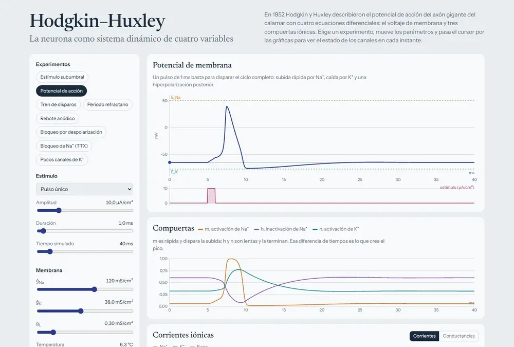 El módulo de Hodgkin-Huxley: potencial de acción, variables de compuerta y corrientes iónicas